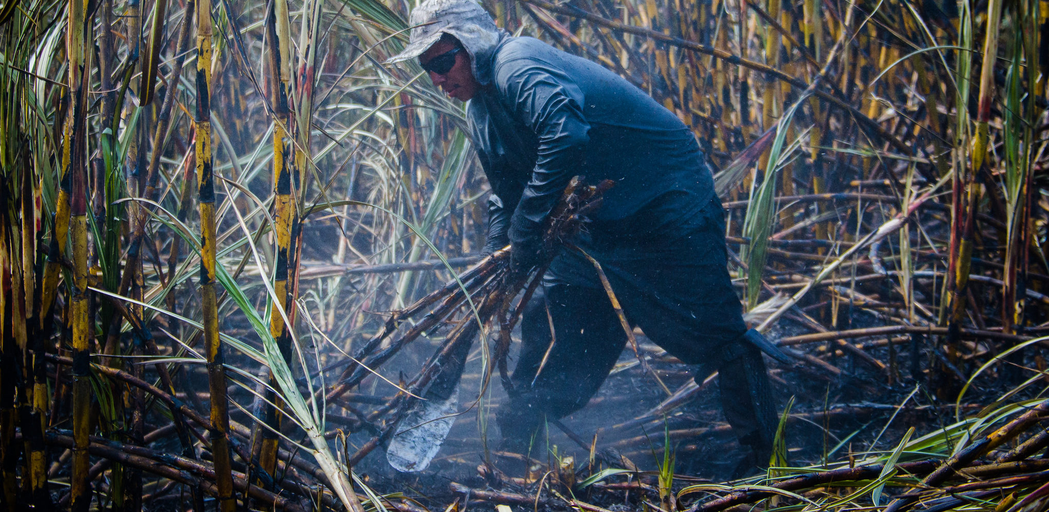 Sugarcane worker workloads